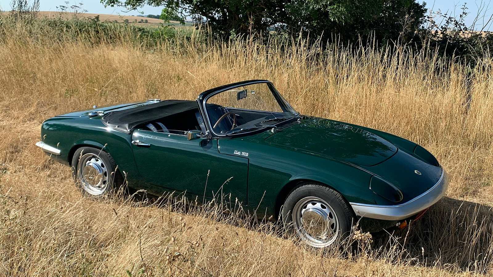 A dark green Lotus Elan 1600 roadster with its hood down, parked in long dry grass beside a tree