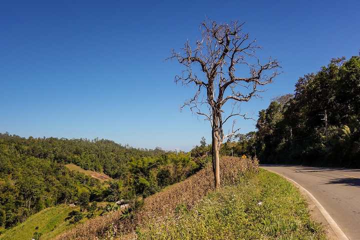 A quiet mountain road through forested hills in northern Thailand