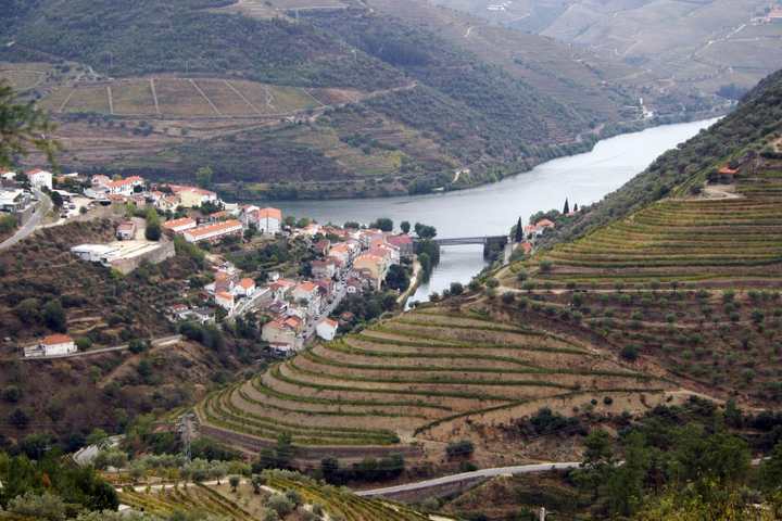 Terraced vineyards above the Douro river near Pinhão in northern Portugal