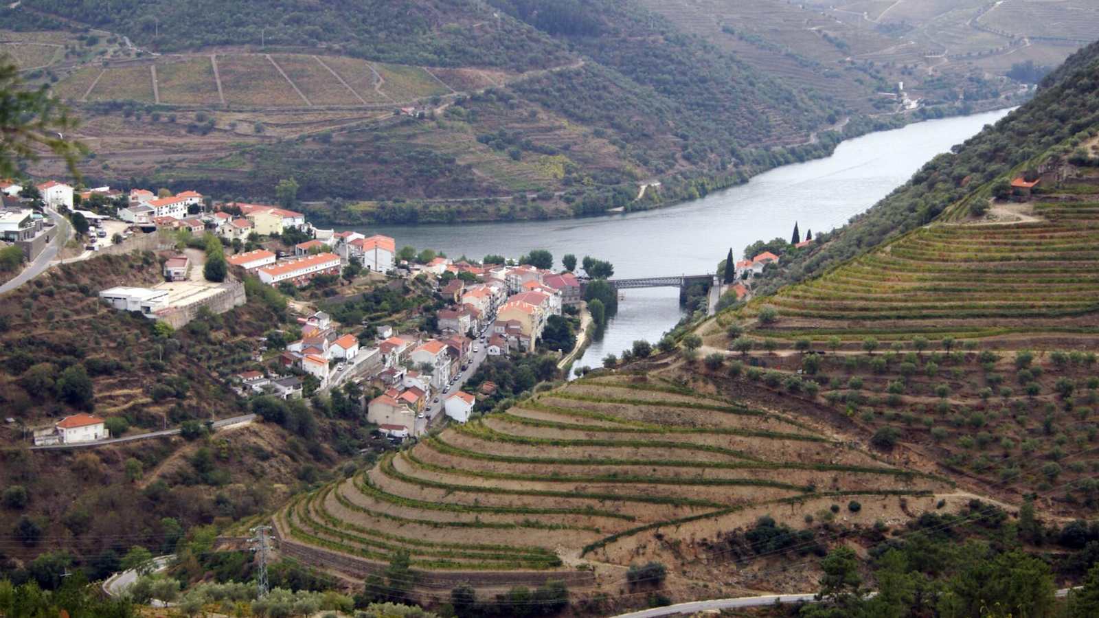 Terraced vineyards above the Douro river near Pinhão in northern Portugal
