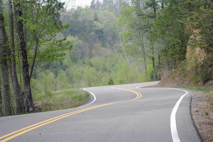 A tree-lined S-bend on US 129, the Tail of the Dragon